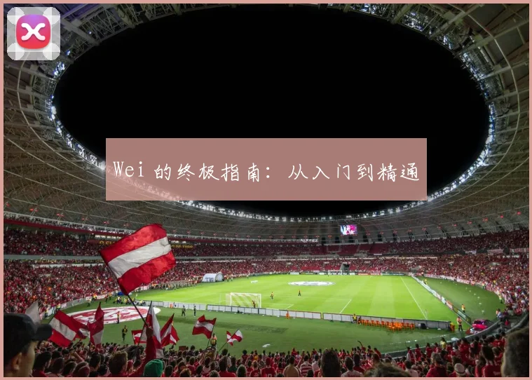 Wei 的终极指南:从入门到精通
