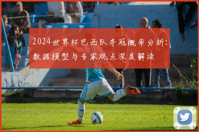 2024世界杯巴西队夺冠概率分析：数据模型与专家观点深度解读