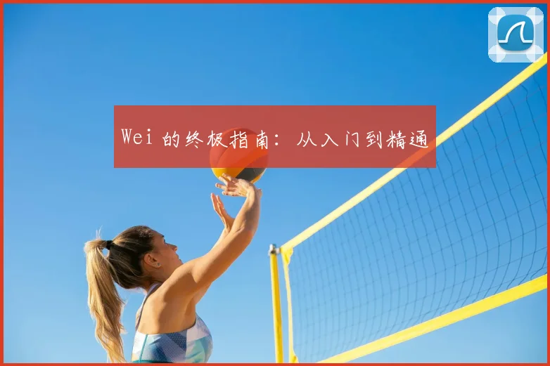 Wei 的终极指南：从入门到精通